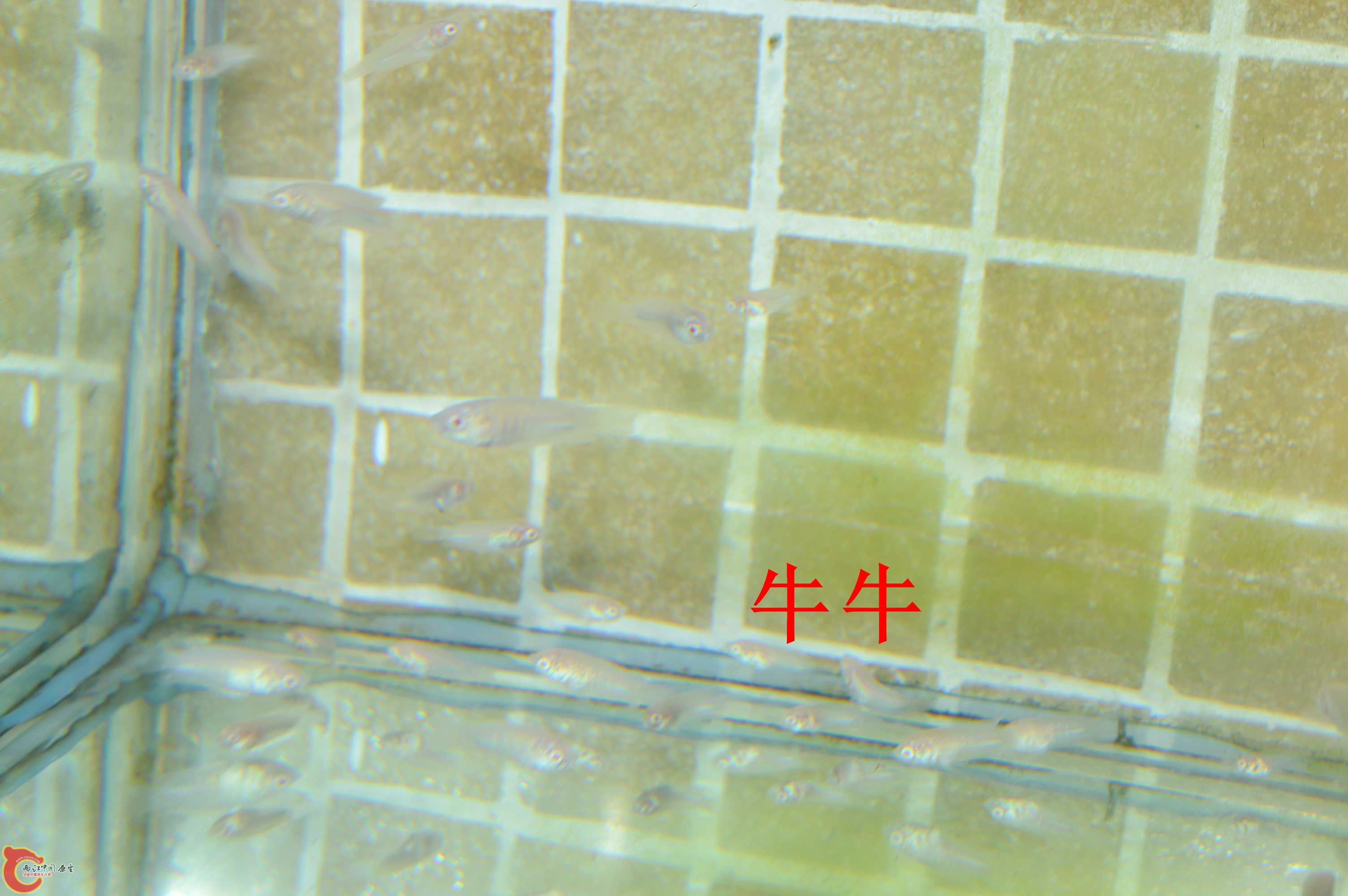 DSC_0006.jpg