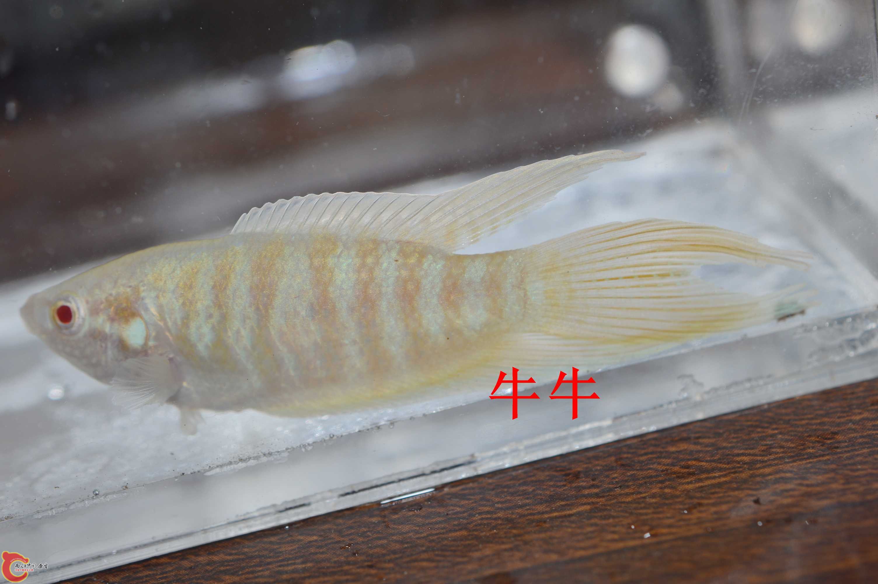 DSC_0003.jpg