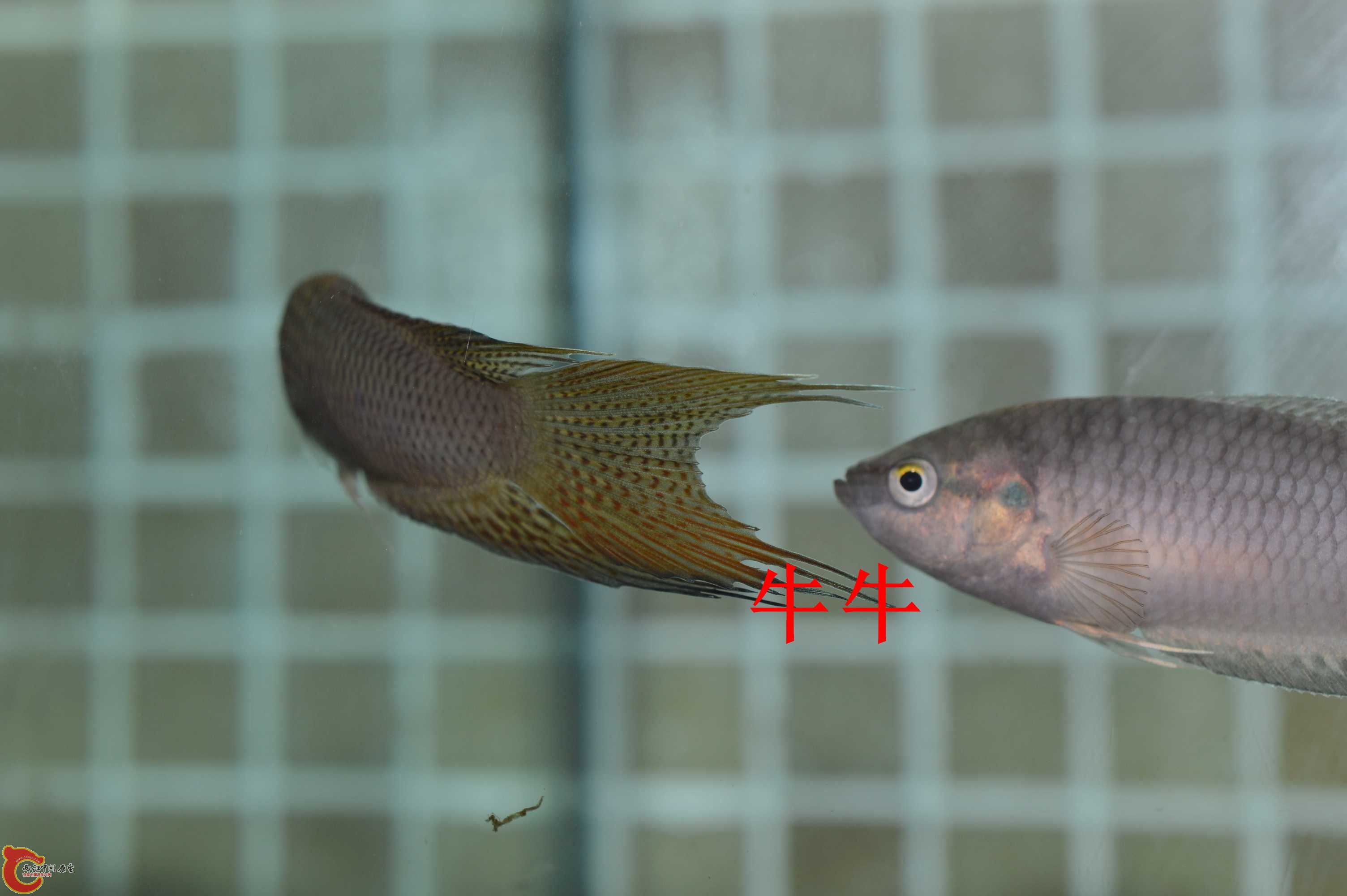 DSC_0007.jpg