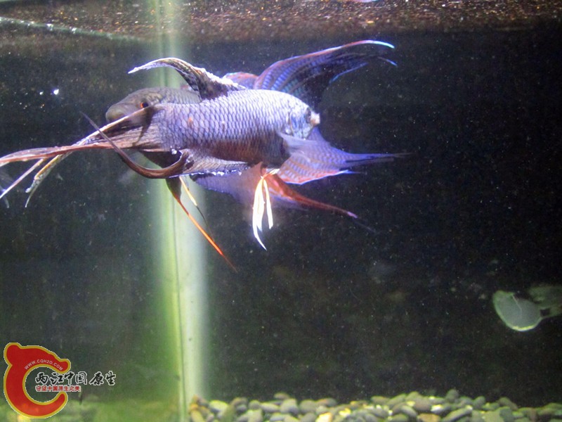 IMG_8038_副本.jpg