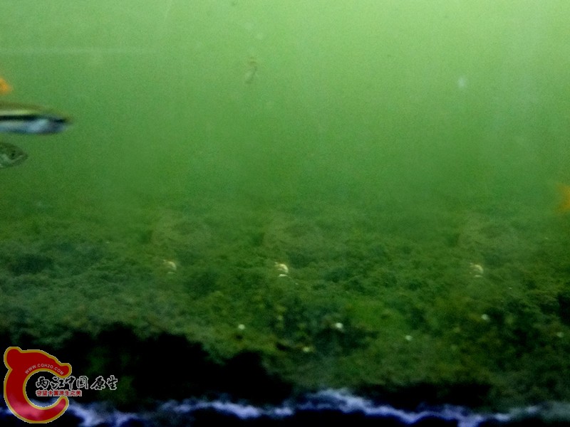 DSCF6460.JPG