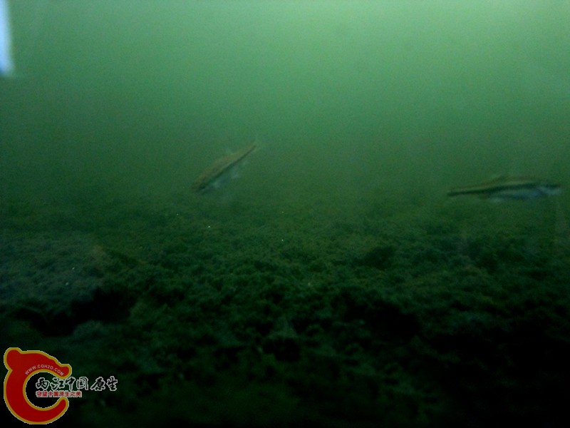DSCF6461.JPG
