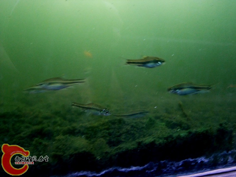 DSCF6466.JPG
