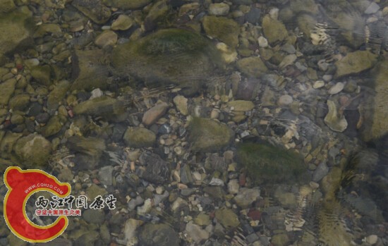 水流