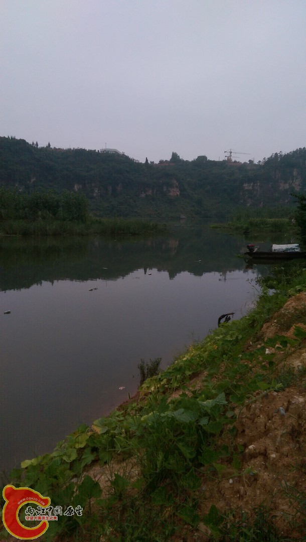IMAG0777.jpg