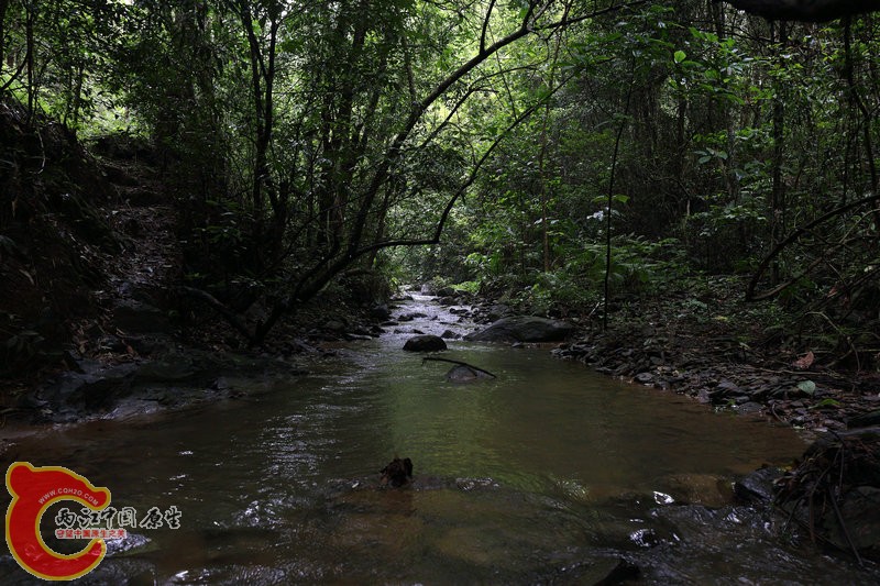 IMG_8475.JPG