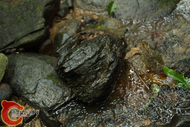 IMG_8477.JPG