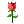 送花.png