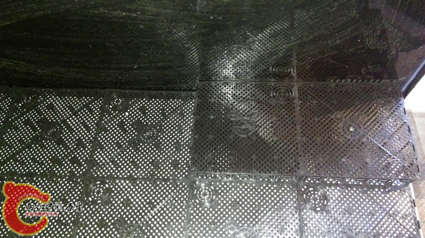IMAG3301.jpg