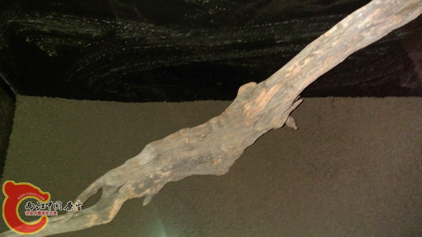 IMAG3309.jpg