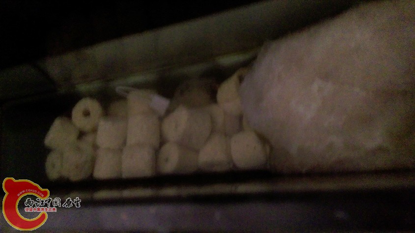 IMAG3336.jpg