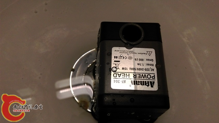 IMAG3225.jpg