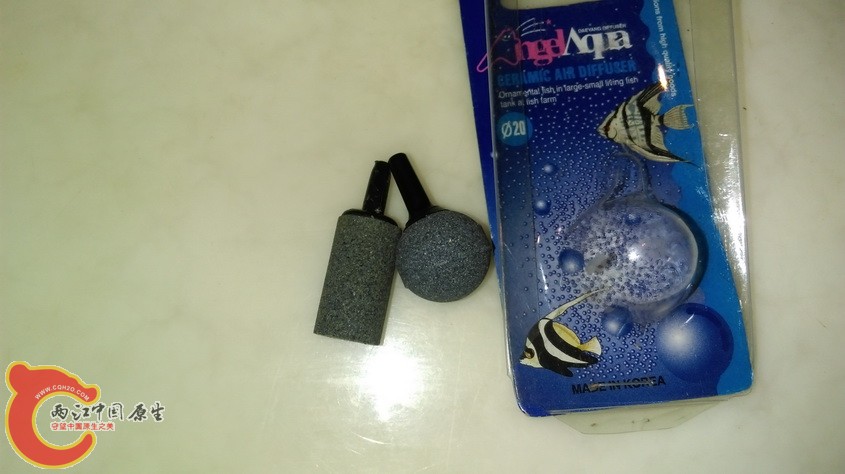 IMAG3281.jpg