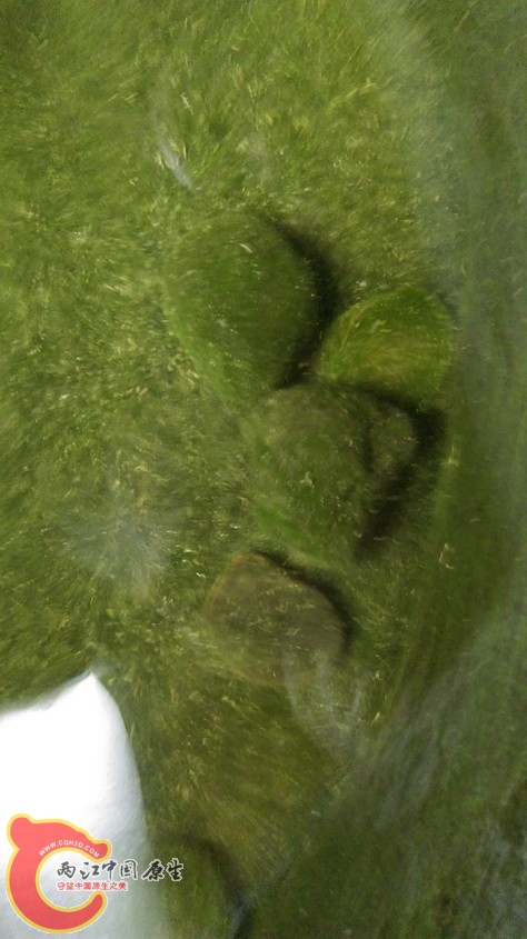 IMAG3292.jpg