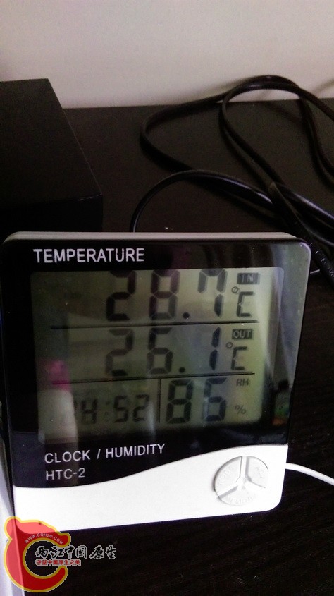 IMAG3344.jpg