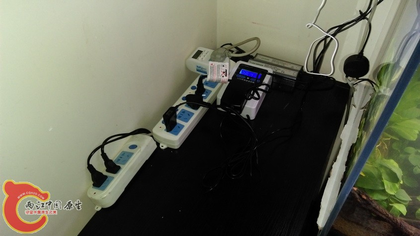 IMAG3365.jpg