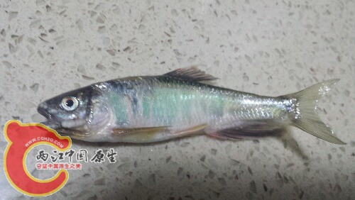 20150817_222445.jpg