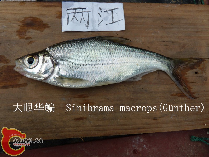 P1040020_副本.jpg