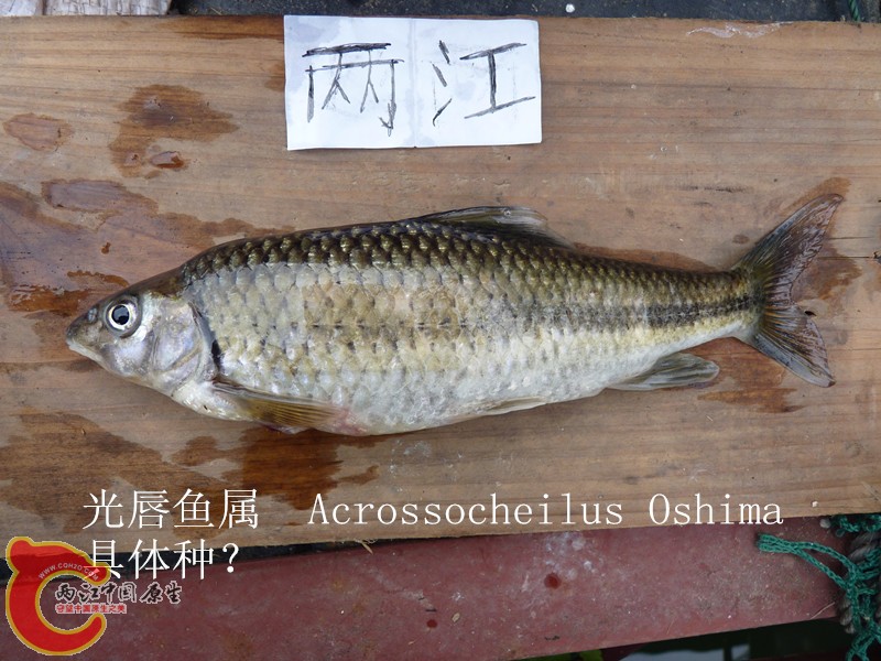 P1040021_副本.jpg