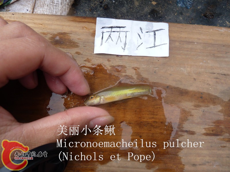 P1040023_副本.jpg