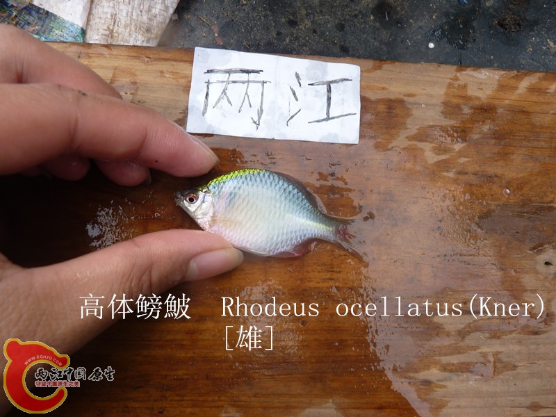 P1040025_副本.jpg