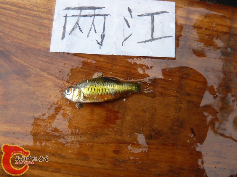 P1040033_副本.jpg