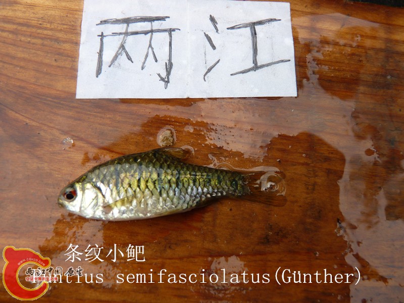 P1040034_副本.jpg