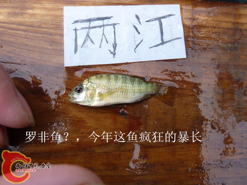 P1040035_副本.jpg