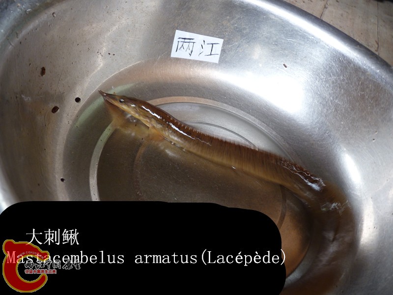 P1040042_副本.jpg