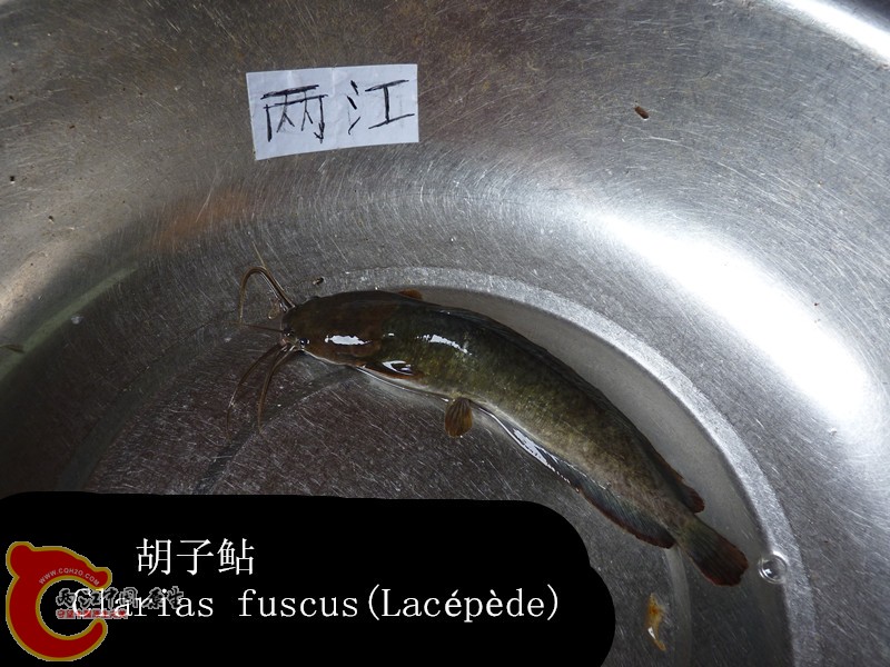 P1040044_副本.jpg