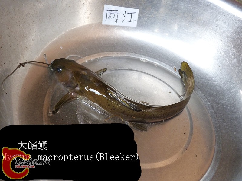 P1040040_副本.jpg