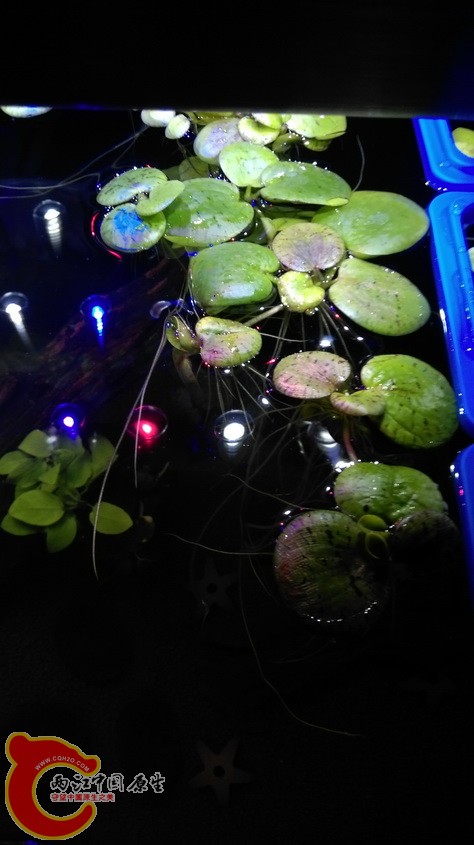 IMAG3439.jpg