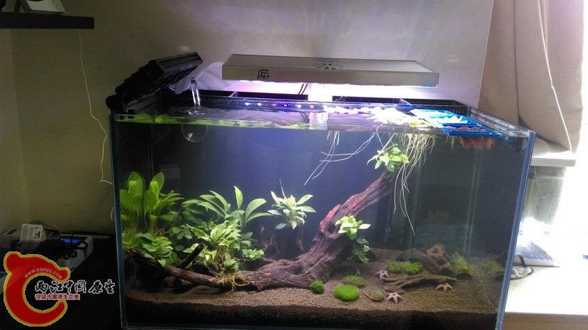 IMAG3450.jpg