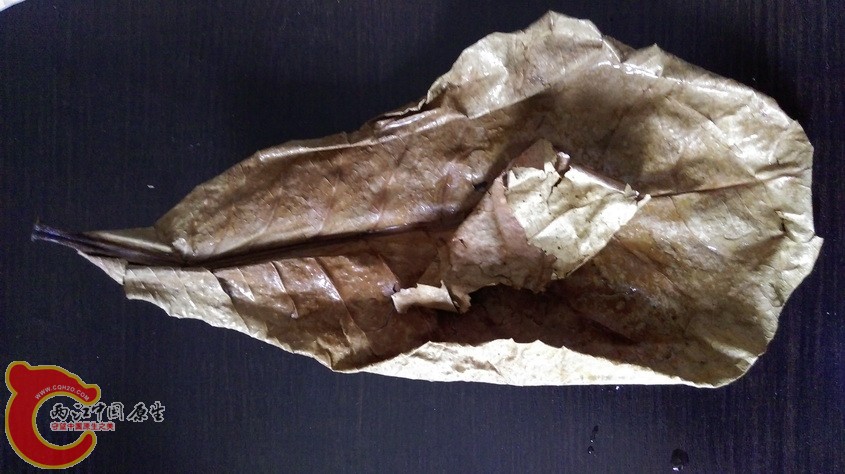 IMAG3461.jpg