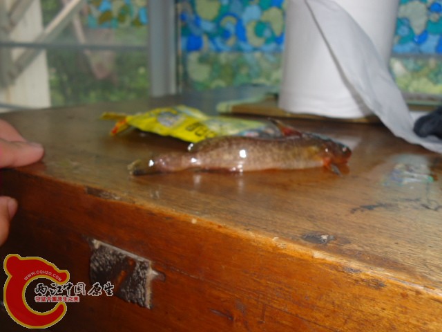 DSC03022.JPG
