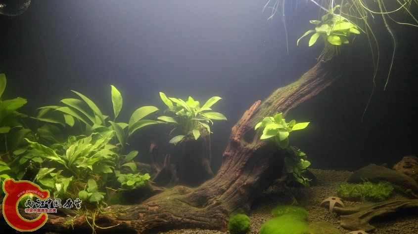 IMAG3489.jpg
