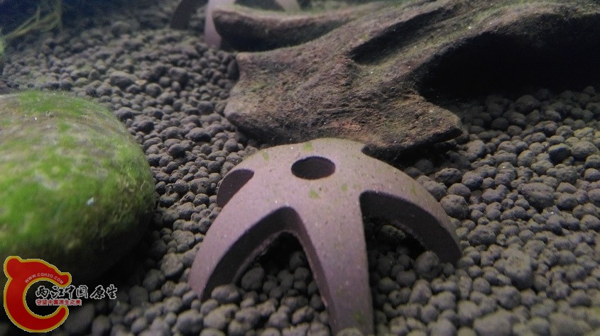 IMAG3495.jpg