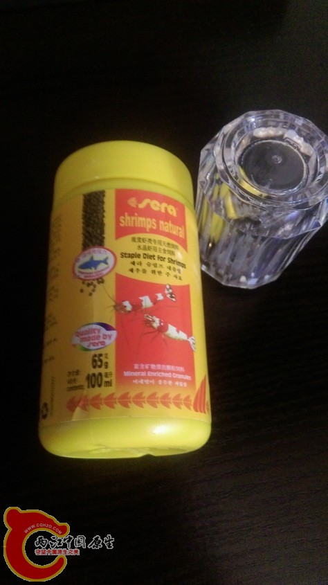 IMAG3536.jpg