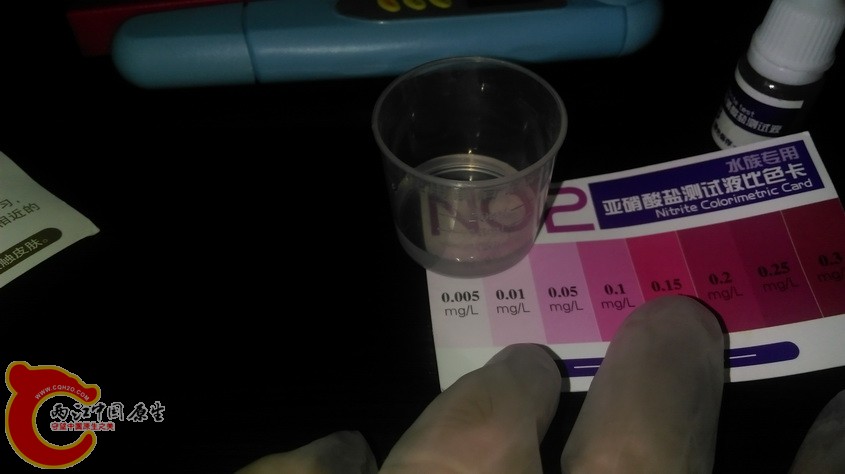 IMAG3514.jpg