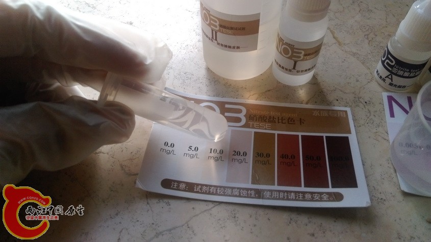 IMAG3524.jpg