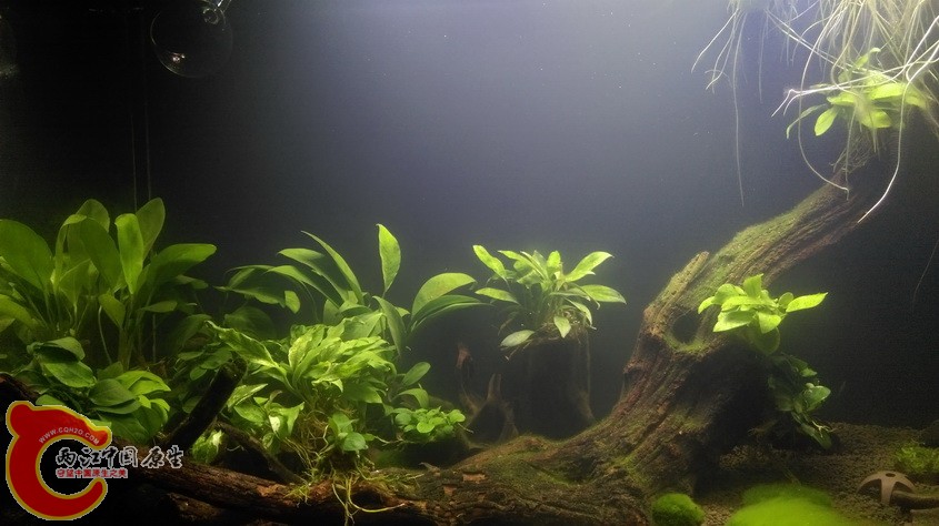 IMAG3548_exposure.jpg
