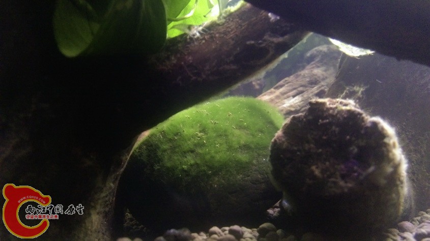 IMAG3549_exposure.jpg