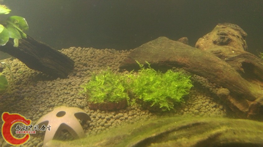 IMAG3551_exposure.jpg