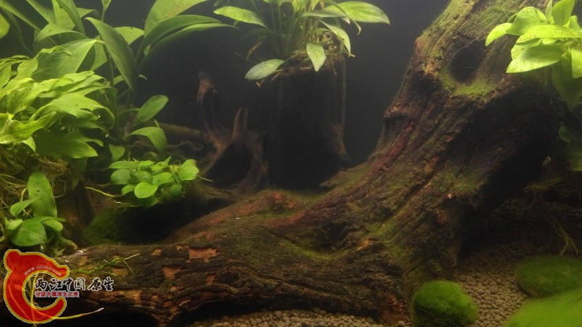 IMAG3553_exposure.jpg
