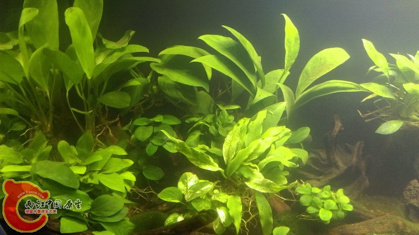 IMAG3555_exposure.jpg