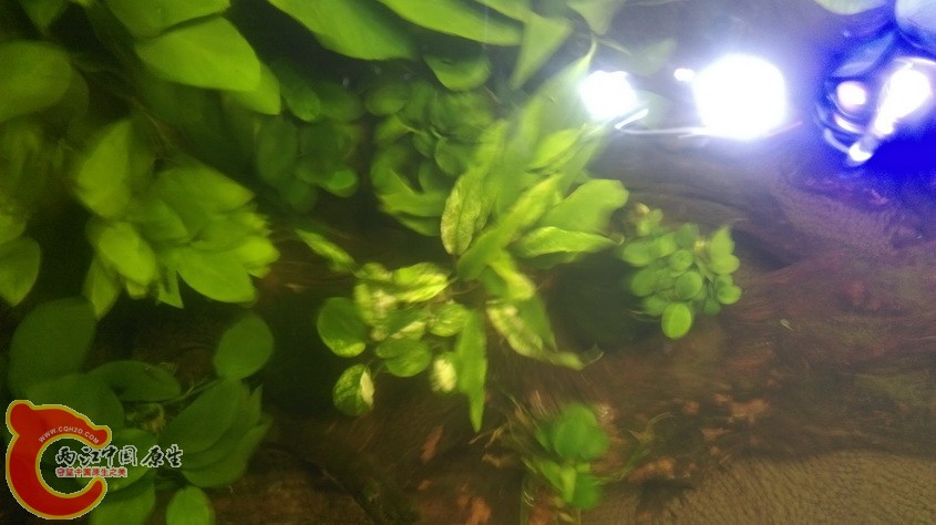 IMAG3562_exposure.jpg
