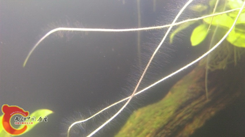 IMAG3568_exposure.jpg