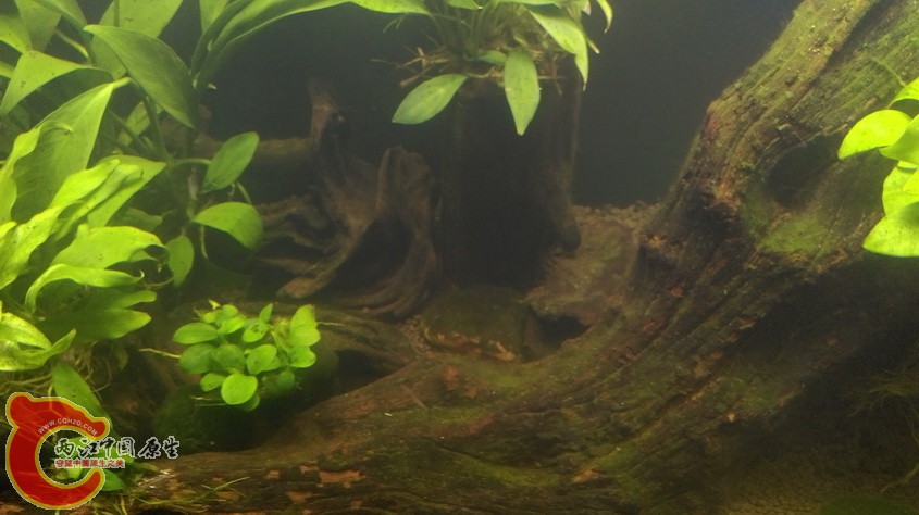 IMAG3572_exposure.jpg