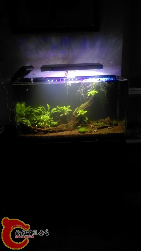 IMAG3580.jpg