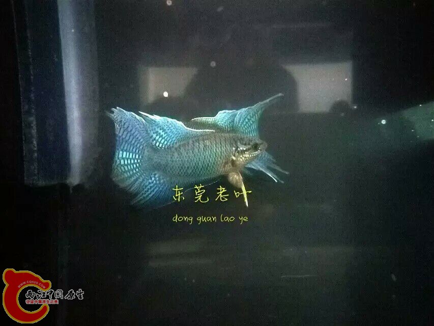 QQ图片20150823142901.jpg